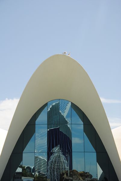 tn_City of arts Valencia (12)