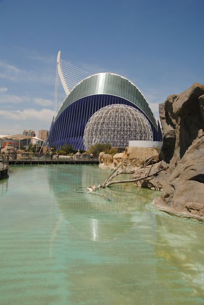 tn_City of arts Valencia (13)