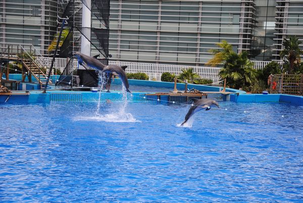 tn_City of arts Valencia (14)