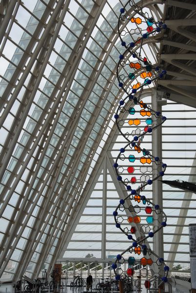 tn_City of arts Valencia (16)