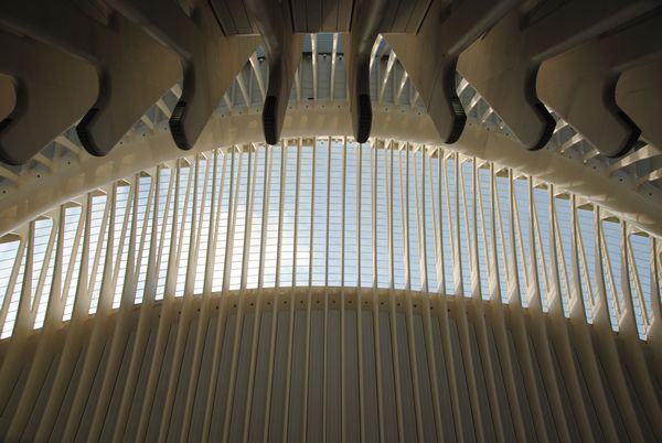 tn_City of arts Valencia (6)