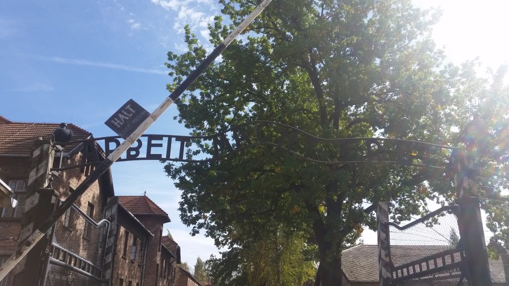 Auschwitz ensanne.nl