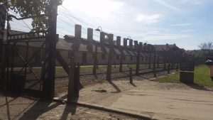 Auschwitz ensannereist.nl
