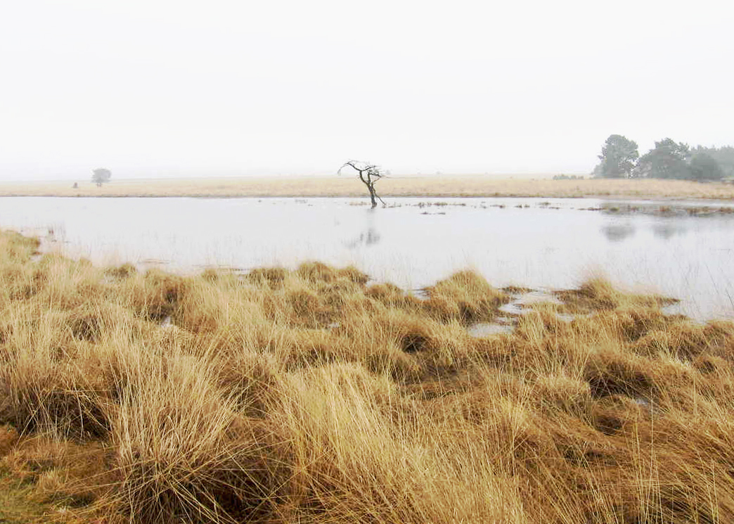 Hoge Veluwe