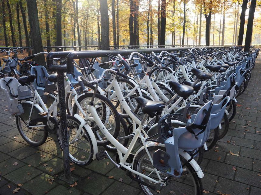Hoge Veluwe