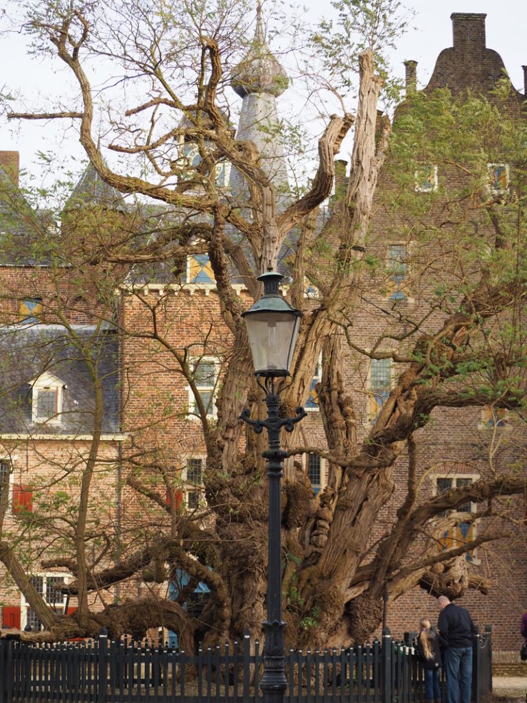 Kasteel Doorwerth