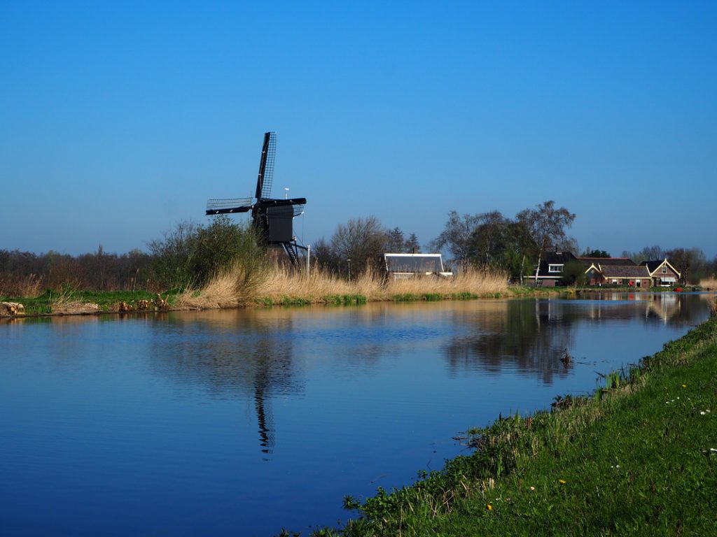 De VolkswagenbusP4026889