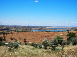 Alentejo ensannereist