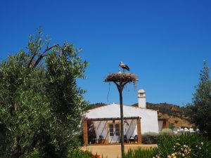 Alentejo ensannereist