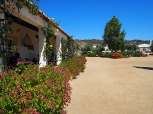 Alentejo ensannereist