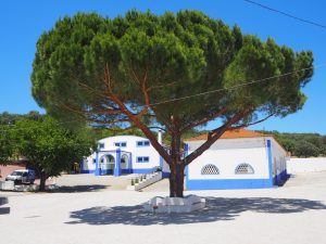 Alentejo ensannereist