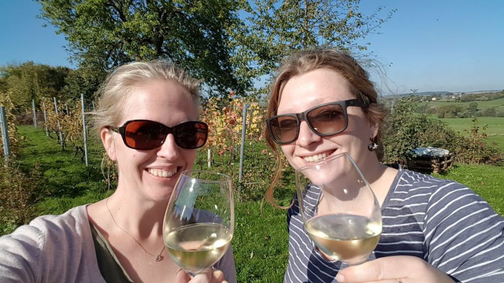 Druiven oogsten bij wijngaard Martinus in Vijlen, Zuid-Limburg11 Druiven oogsten bij wijngaard Martinus in Vijlen, Zuid-Limburg3