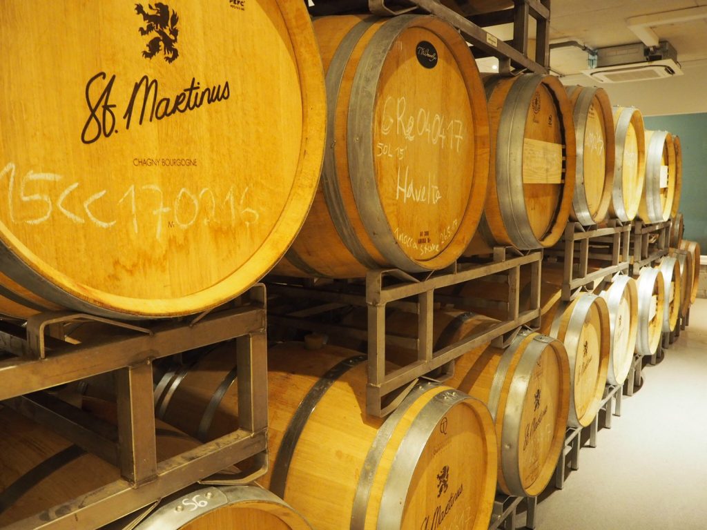 Druiven oogsten bij wijngaard Martinus in Vijlen, Zuid-LimburgIMG_1760 Druiven oogsten bij wijngaard Martinus in Vijlen, Zuid-Limburg3