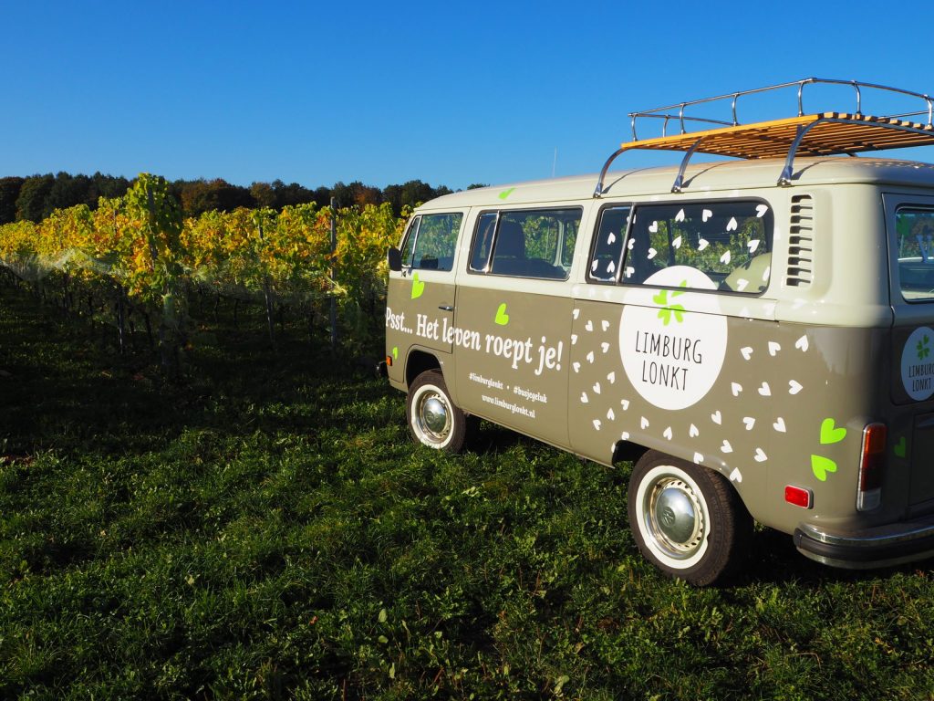 Druiven oogsten bij wijngaard Martinus in Vijlen, Zuid-LimburgPA141305 Druiven oogsten bij wijngaard Martinus in Vijlen, Zuid-Limburg3