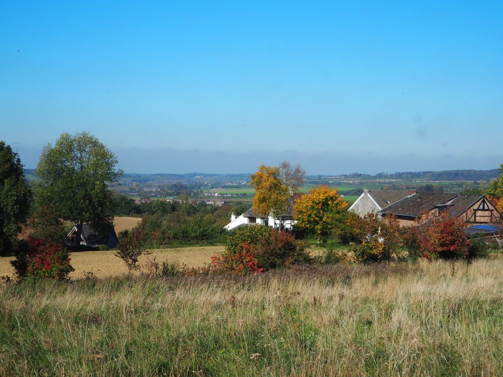 Druiven oogsten bij wijngaard Martinus in Vijlen, Zuid-LimburgPA141334 Druiven oogsten bij wijngaard Martinus in Vijlen, Zuid-Limburg3