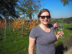 Druiven oogsten bij wijngaard Martinus in Vijlen, Zuid-Limburg3