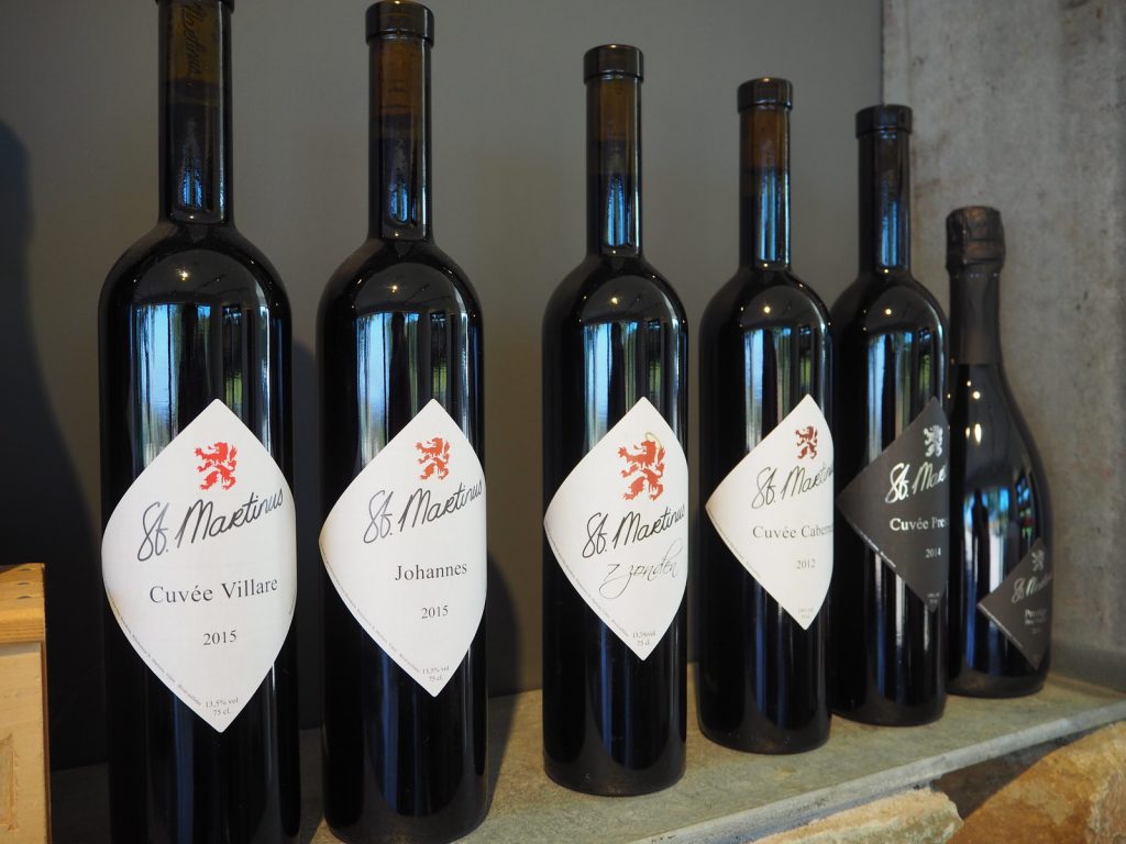 Druiven oogsten bij wijngaard Martinus in Vijlen, Zuid-LimburgPA141338 Druiven oogsten bij wijngaard Martinus in Vijlen, Zuid-Limburg3