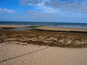 d-day rondreis normandie stranden