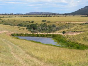 Safari Garden Route Zuid-Afrika