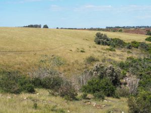 Safari Garden Route Zuid-Afrika
