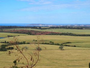 Safari Garden Route Zuid-Afrika