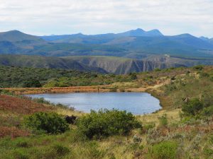 Safari Garden Route Zuid-Afrika