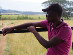 Safari Garden Route Zuid-Afrika