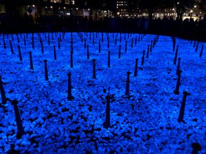 Levenslicht Daan Roosegaarde 75 jaar vrijheid