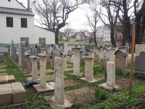 krakau tips cultuur stedentrip