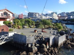 wellington - tips - bezienswaardigheden
